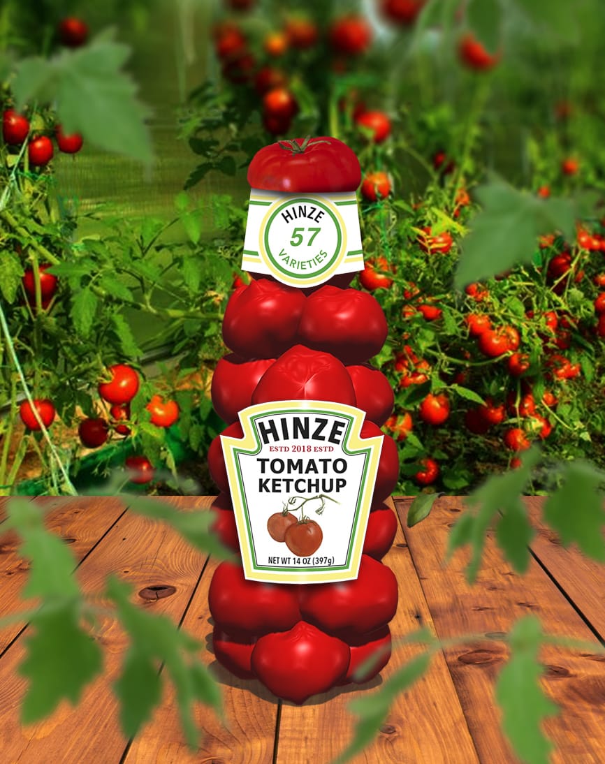 Hinze Ketchup 3D-Rendering